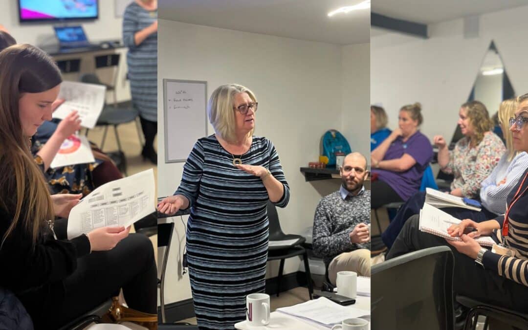 February update from Gette Cobban –  Senior Development Officer (The Promise), ACVO TSI